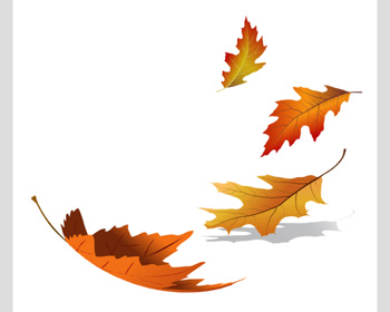 2025 Autumn Leaves Arts Festival